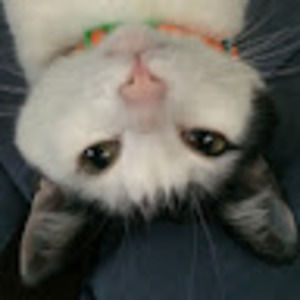 Meet your Posher, Maria constanza